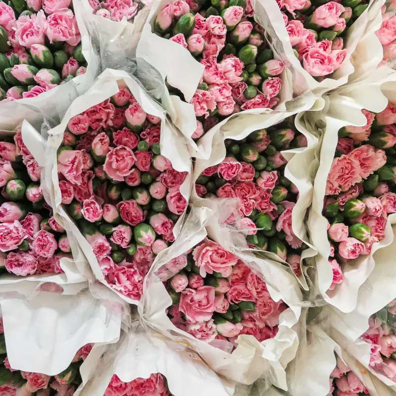 Rosa rosbuketter med rosa rosor symboliserar ofta tacksamhet, beundran och milda känslor av kärlek.