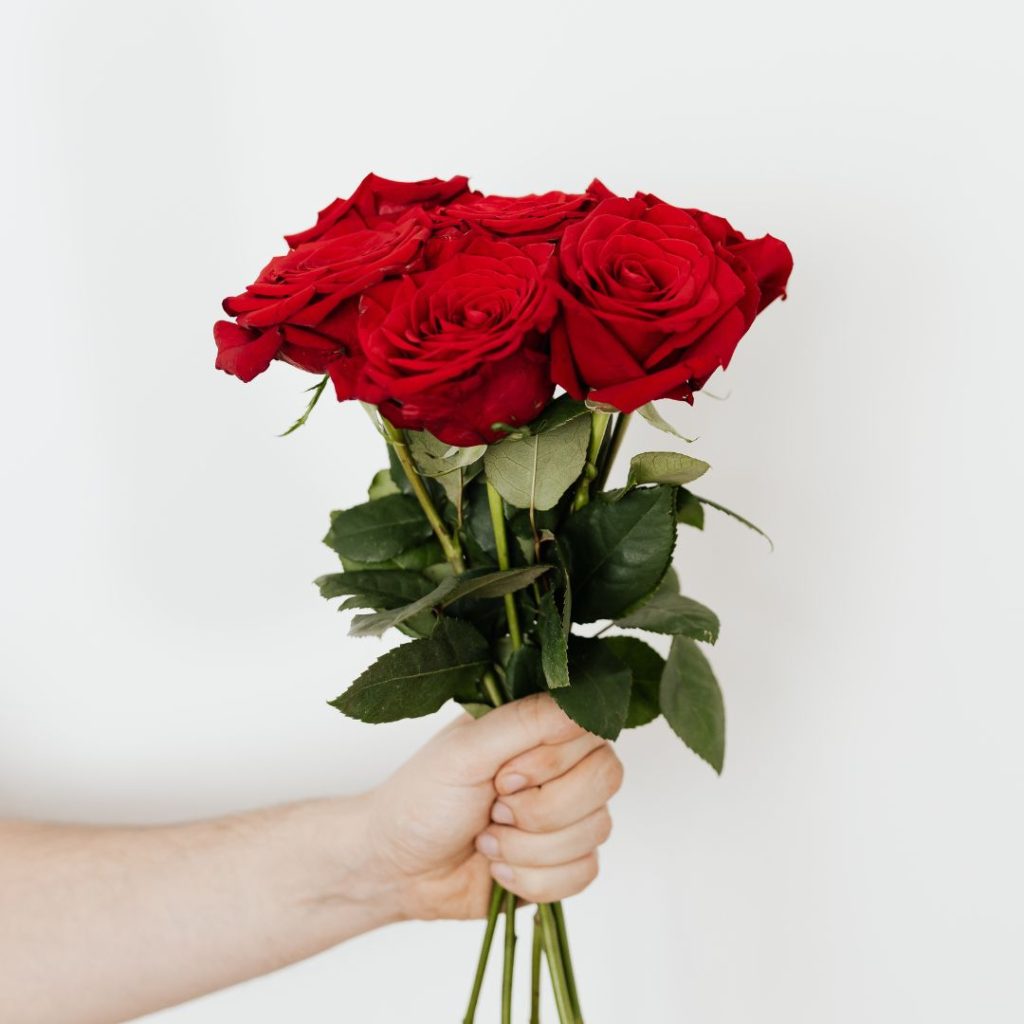 Sex rosor hålls upp av en man, men visste du att 6 rosor kan betyda att jag älskar dig, men låt oss tala om våra känslor.